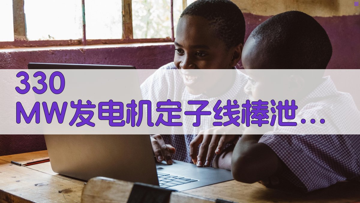 330 MW发电机定子线棒泄漏故障诊断分析